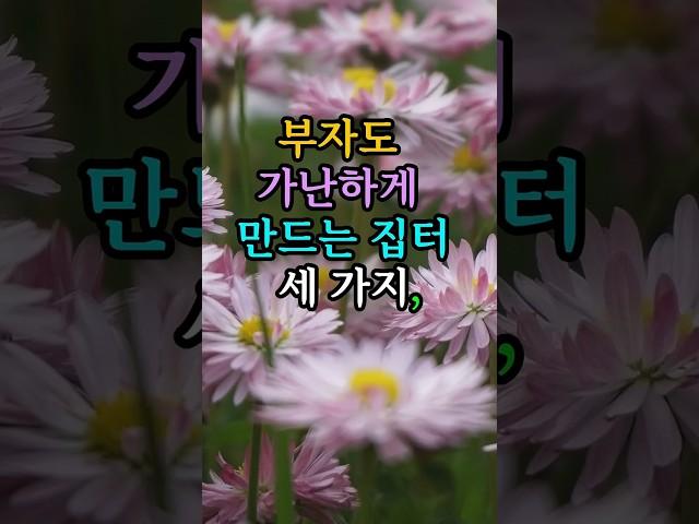 부자도 가난하게 만드는 집터3가지