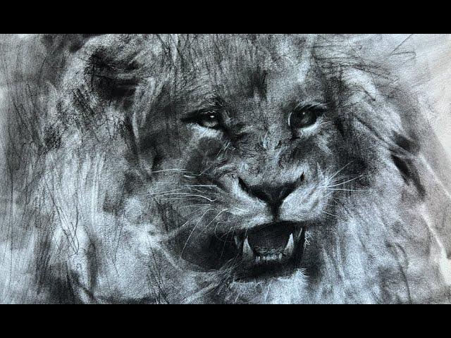 LION CHARCOAL DRAWING TUTORIAL (NO CUTS)