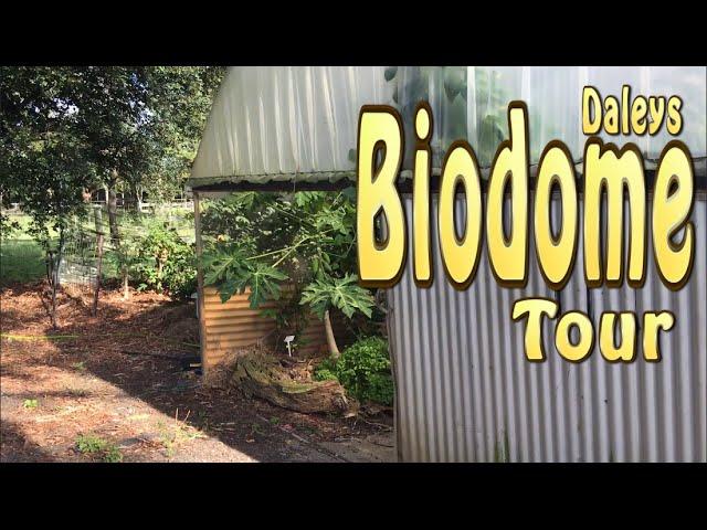 Biodome Tour - 100's of Dwarf Fruit Trees in a tiny space