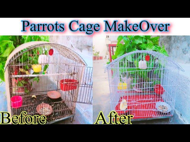 Parrots Cage makeover at home | Dye Ideas at home