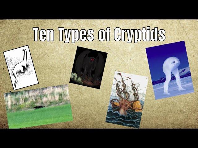 The Ten Types of Cryptids