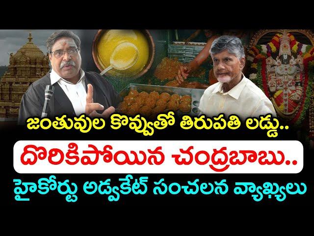 Advocate Sairam Sensational Facts About Tirupati Laddu Issue : PDTV News