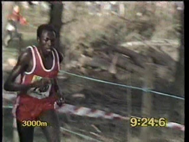 1989 Mens World Cross Country Championships