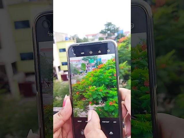 Realme 8 5G Camera Zoom Test #shorts