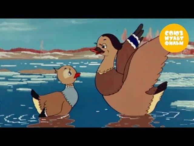 Серая Шейка  Золотая коллекция сказок  Мультфильм-сказка от Союзмультфильм 1948 г.