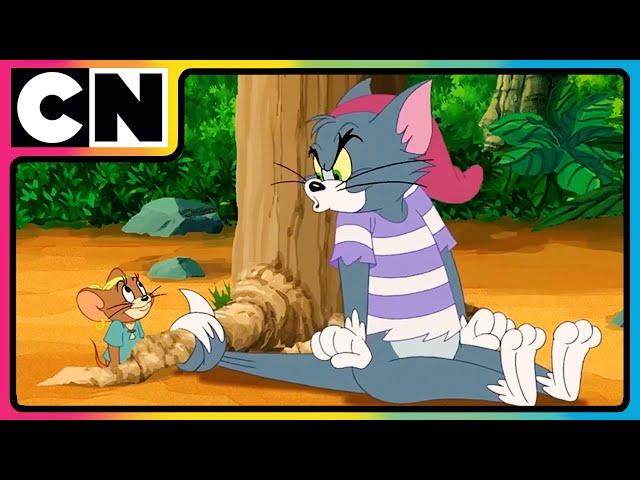 Tom & Jerry | A Frienemy in Need! | #compilation | #catandmouse | Cartoon for Kids | @cnindia