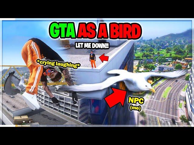 Seagull Trolling THE ENTIRE SERVER on GTA RP