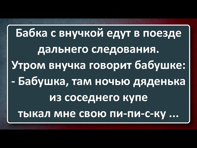 Бабкина Внучка и Грозная Мужская Сосиска! Подборка Лучших Анекдотов Синего Предела