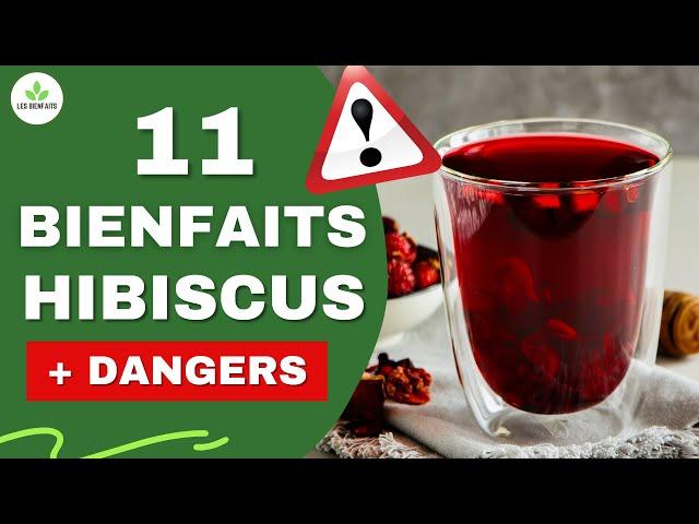 HIBISCUS : 11 BIENFAITS ET DANGERS POUR LA SANTÉ (C'EST IMPRESSIONNANT )