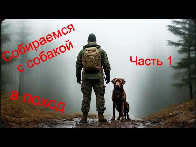 В поход с собакой ч 1