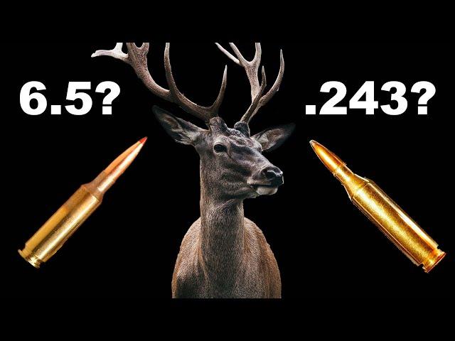 6.5 Creedmoor or .243 Winchester for Deer Hunt? - Season 2: Episode 71