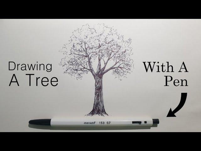 How To Draw A Tree