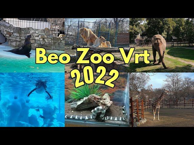 Beogradski Zoo Vrt 2022