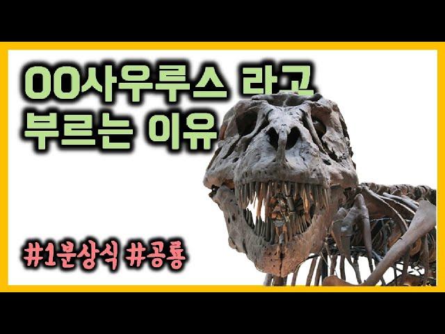 [1분상식] 공룡 이름에 사우루스가 많은 이유