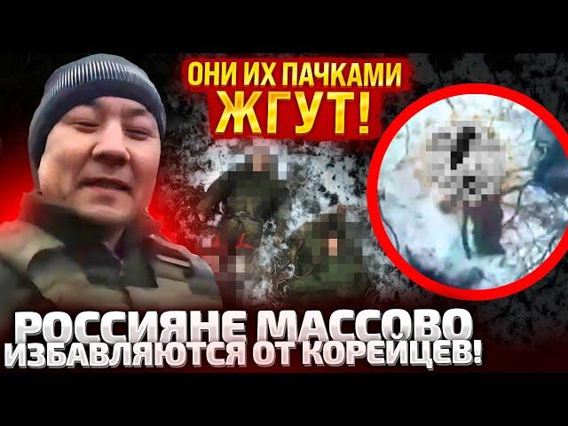 ВСПЛЫЛИ ЖУТКИЕ ВИДЕО! КОРЕЙЦЕВ ПУТИНА УТИЛИЗИРУЮТ СВОИ ЖЕ! СКРЫВАЮТ ЛИЦА!