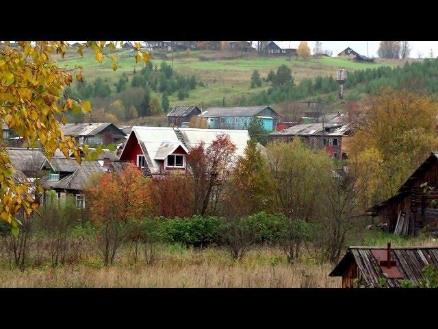 Бестужево осенью 2015 года