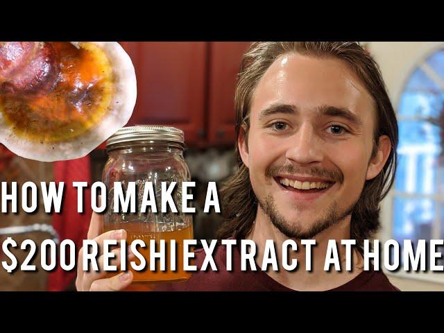 Everything about Reishi Mushrooms and How to Make an Extract