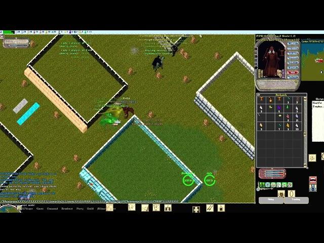 Wakizashi Power ! Ultima Online pvp 2024 OSI Atlantic