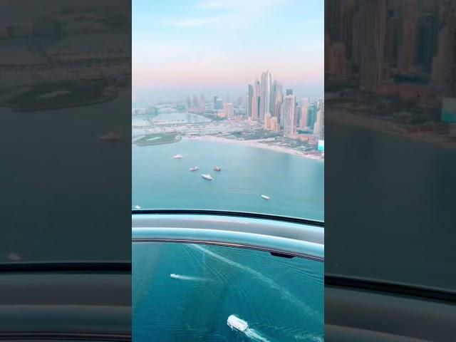 AIN DUBAI - ОКО ДУБАЯ самое большое колесо обозрения в мире #dubai