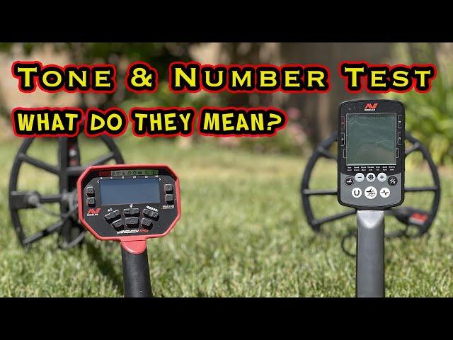 Minelab Vanquish 540 & Equinox 800 Tone & Number Test