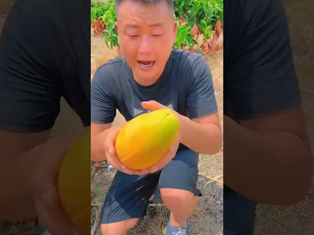 अजीब चाइना के गज़ब फल l China's Weird Fruits l #shorts #china #fruit #facts #viral