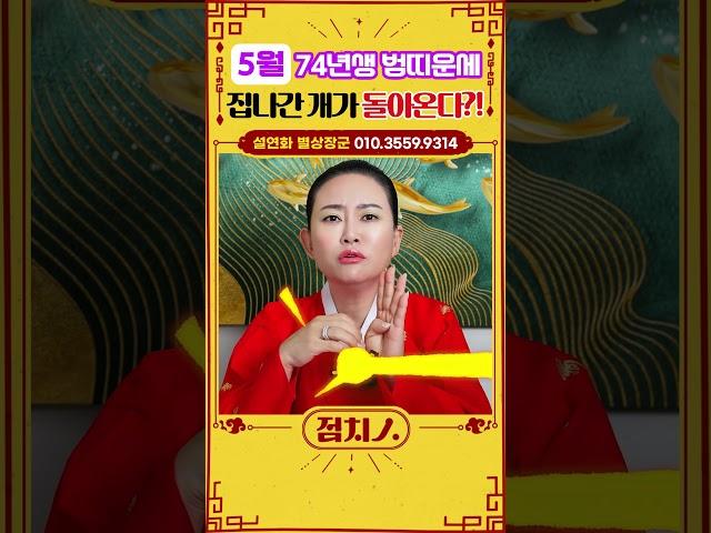 ⭐2025년 5월 범띠운세 ⭐ 돈, 사업, 인연 뭐하나 빠질 것 없이 다 좋아~ #범띠 #호랑이띠 #호랑이띠운세 #74년생