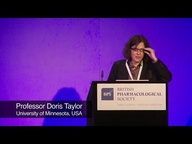 Professor Doris Taylor:  Engineering cell based solutions for cardiovascular diseases