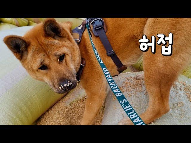 어쩐지 이상하더라