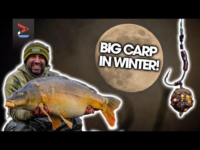 Ali Hamidi's Winter Carp Fishing Tips! | Carp Fishing | One More Cast