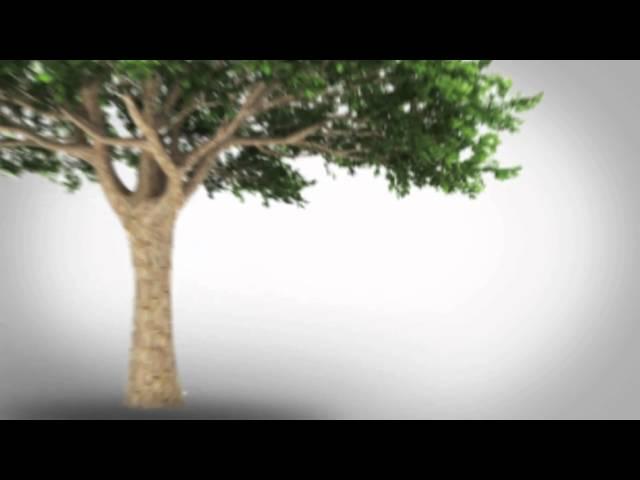 The Longevity Project --  TRAILER
