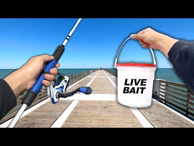 Eating Whatever I Catch! Fishing a NEW PIER (Catch and Cook)