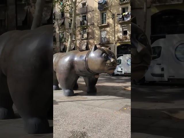 Big cat in barcelona