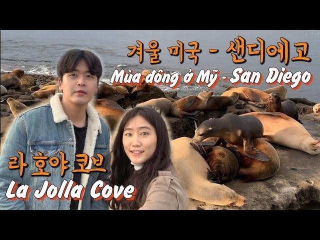 [미국여행] 12월30일 샌디에고 라호야코브 Nước Mỹ vào ngày 30 tháng 12 San Diego, La Jolla Cove