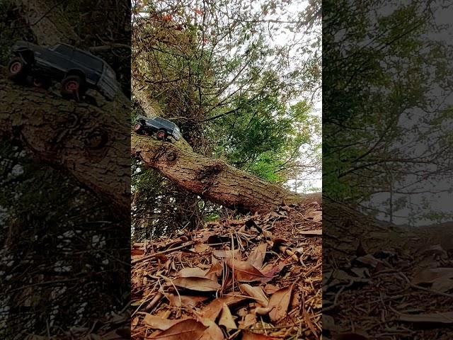 SQUIRREL! #rc trx4 high trail k5 blazer