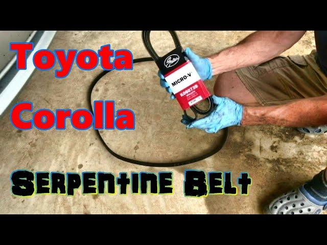 Toyota Corolla Serpentine/ Drive BELT Replacement 2003- 2013 EASY