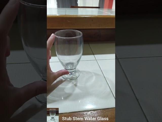 In Hand Review of Stub Stem Water Glass Goblet 11.75 Oz