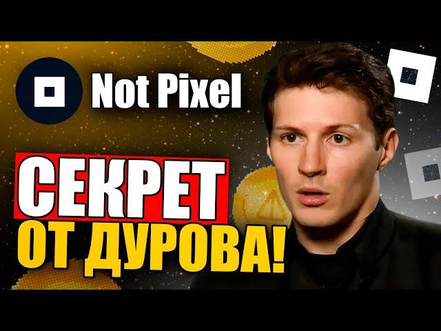 Обзор NOT PIXEL: Как Фармить Больше Токенов PX + Секретная Пасхалка от Дурова!