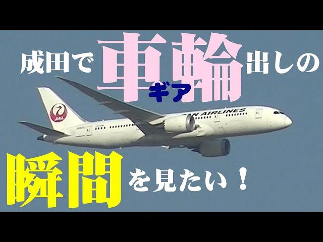 【成田空港】偶然の奇跡連発!?成田の着陸機が車輪（ギア）を出す瞬間のシーンを見るために出掛けてみよう！