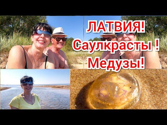  У НАС ВОРУЮТ ДЕНЬГИ  Ruta Vlog @HozajushkaRuta @RutaLutkevica