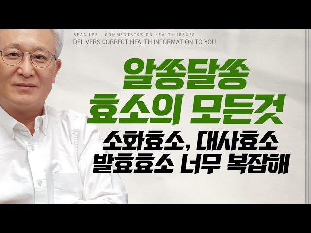 [E203] 알쏭달쏭 효소의 모든 것 - 대사효소, 소화효소, 발효효소... 너무 복잡해요!