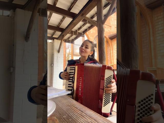 Жарим плов под музыку #russianaccordeon #kalinkaaccordion #russiaanclassicmusic #аккордеон #баян