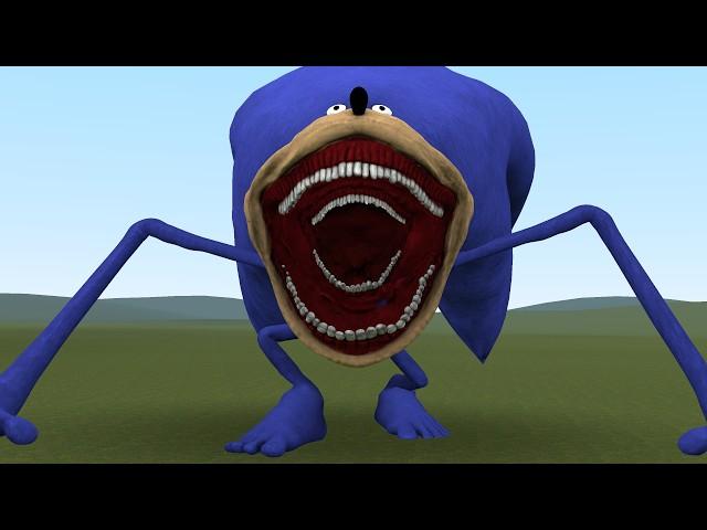 NEW SONIC TAPES HORROR MONSTER In Garry's Mod!