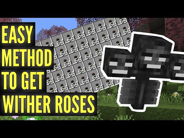 Easy Wither Roses in Minecraft without a Wither Farm or Going to the End!