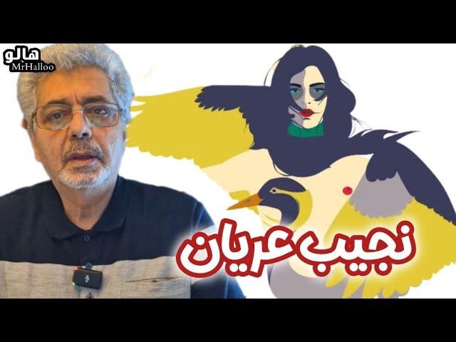 هالو ـ نجیب عریان | MrHalloo - Najibe Oryan