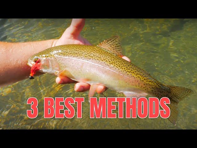 3 Most EFFECTIVE Ways To Catch TROUT - In Depth Trout Fishing HOW-TO