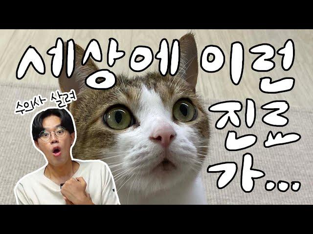 Came to the veterinary clinic for this? Top 5 animal patients that startled doctor Kim.