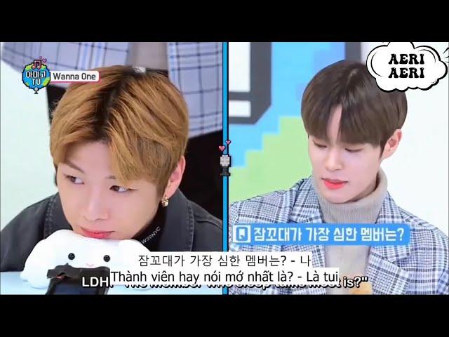 [Phụ đề Hàn - Việt] Hỏi nhanh đáp gọn cùng Wanna One