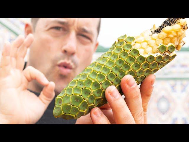 Eating The Tastiest Fruit In The World! - How to Eat Monstera Deliciosa Safely