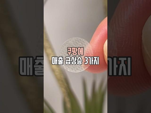 쿠팡 매출 급상승 3가지 #살림남