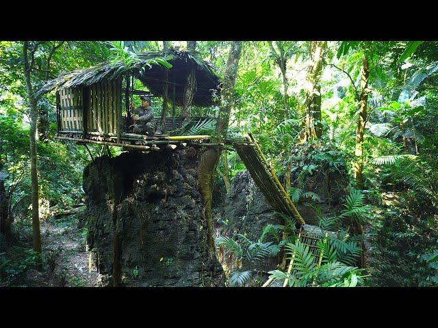 Solo Bushcaft: Build a shelter on top of a giant rock. Trap birds for dinner - P.4